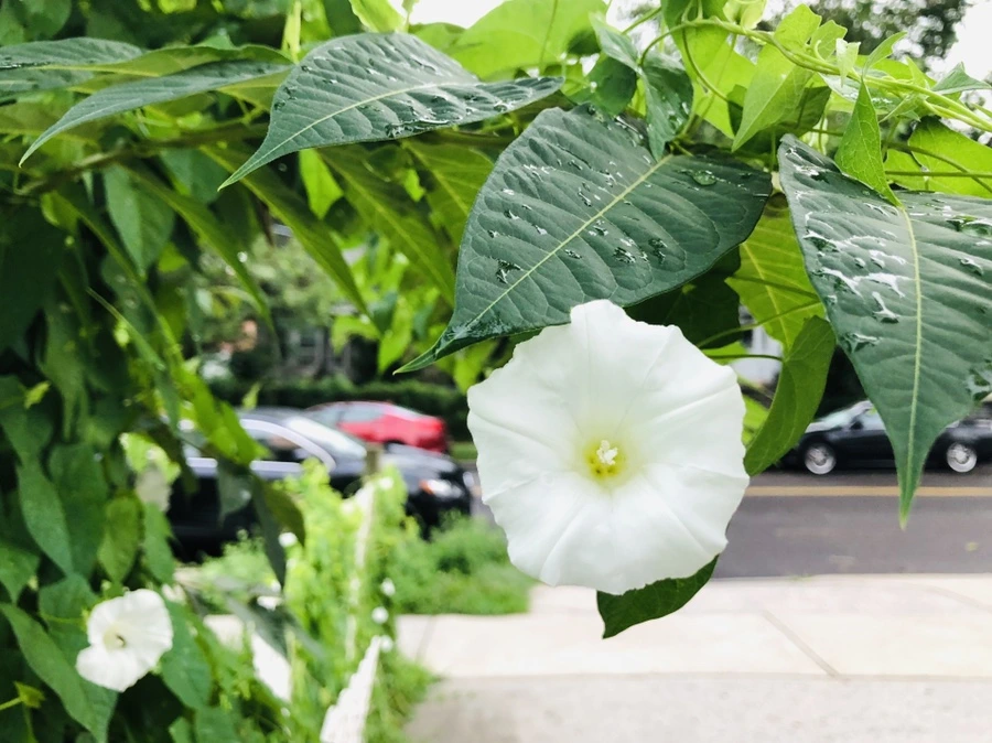 IMG_4319.jpg?type=w966