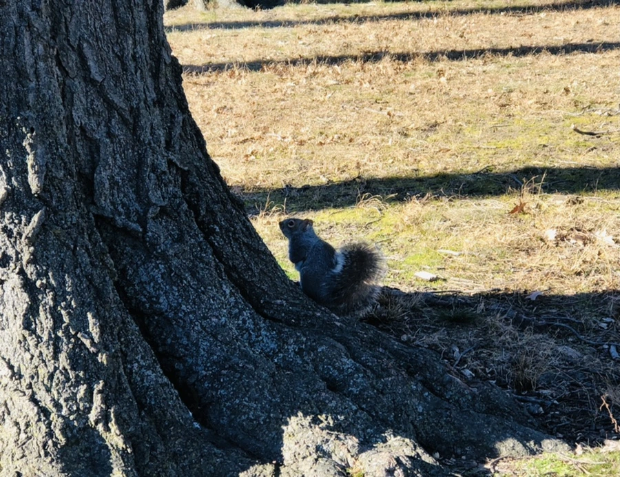 IMG_8146.jpg?type=w966