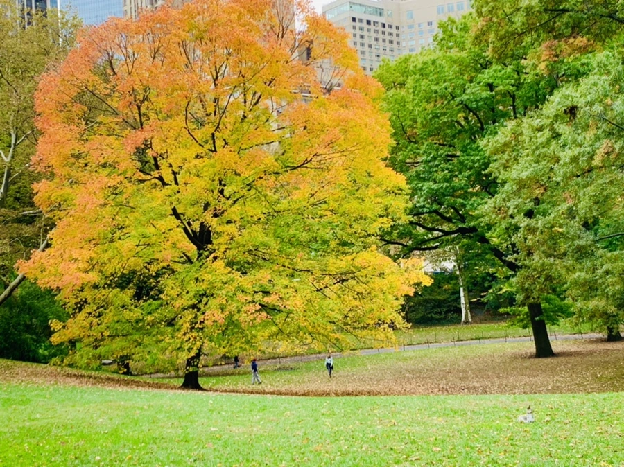 IMG_0235.jpg?type=w966