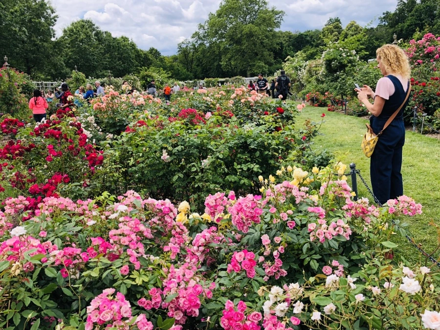 IMG_5898.jpg?type=w966