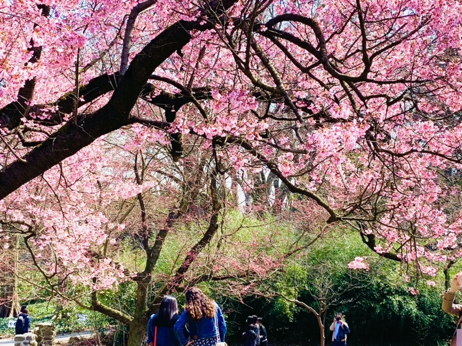 IMG_7344.jpg?type=w966