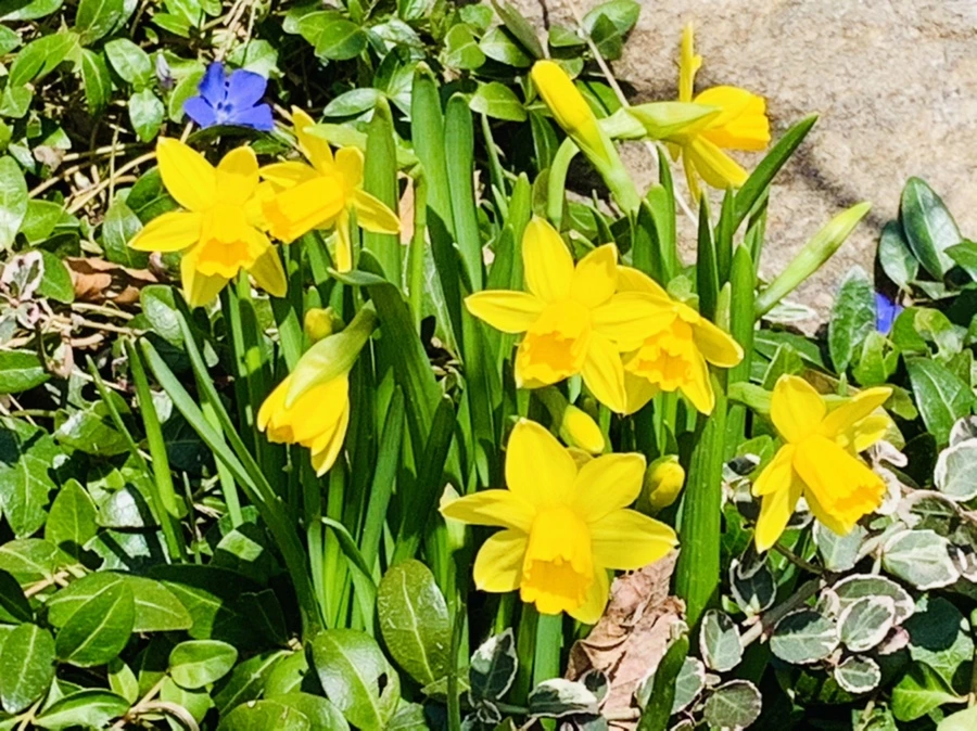 IMG_3413.jpg?type=w966