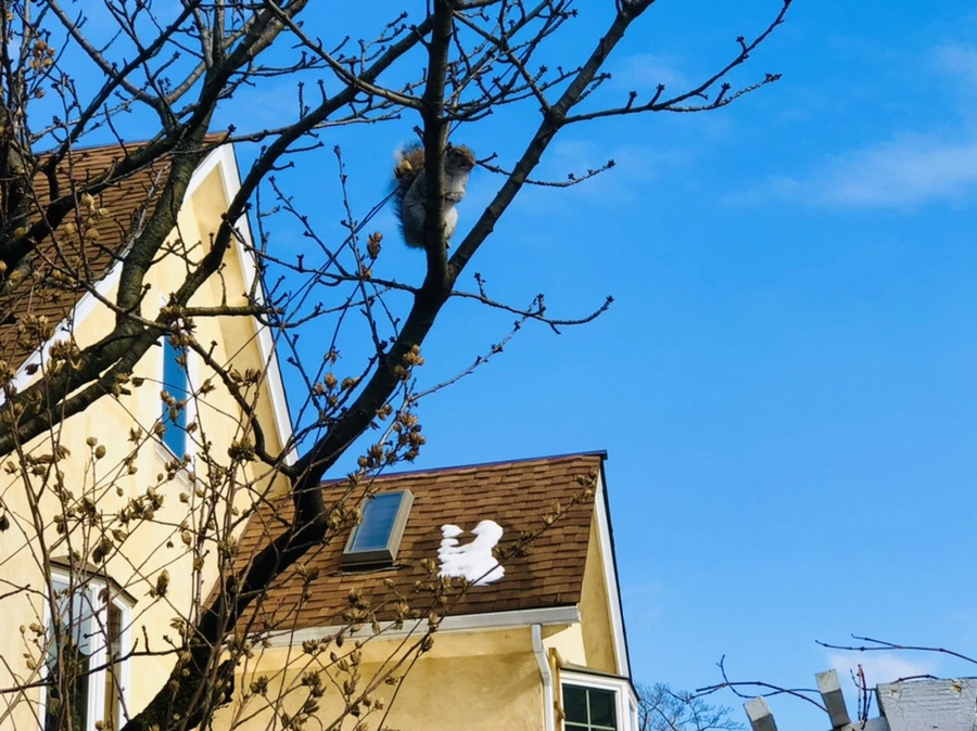 IMG_3007.jpg?type=w966