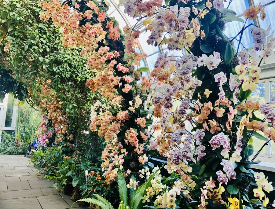 IMG_6279.jpg?type=w966