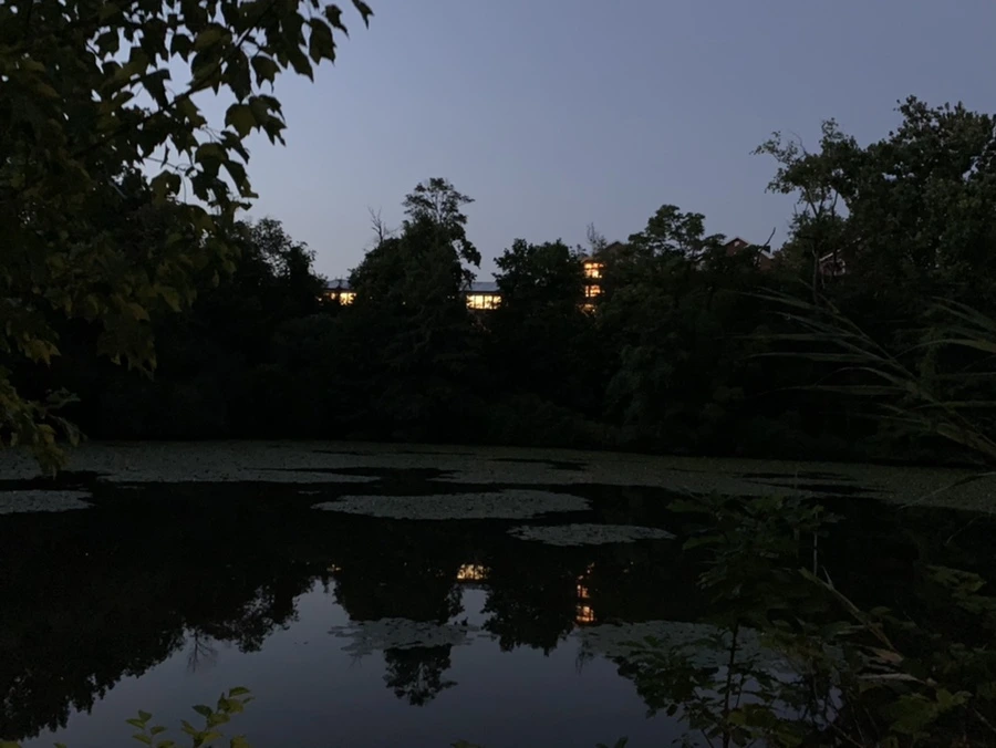 IMG_5299.jpg?type=w966