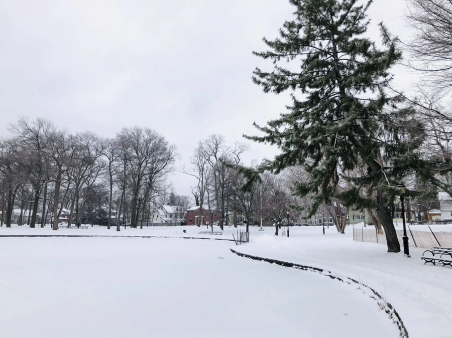 IMG_3686.jpg?type=w966