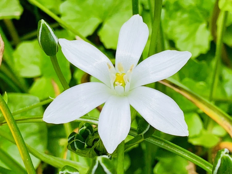 IMG_1228.jpg?type=w966