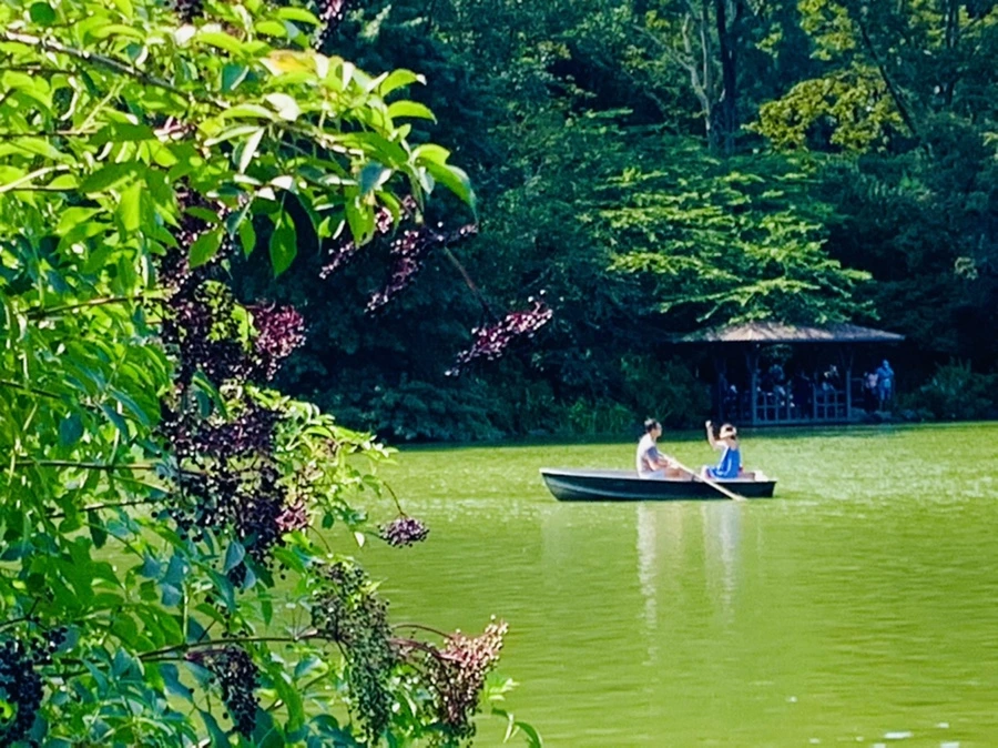 IMG_4472.jpg?type=w966