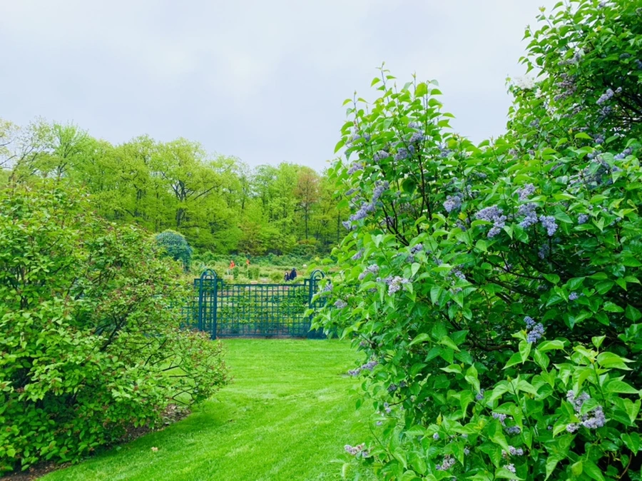 IMG_9946.jpg?type=w966