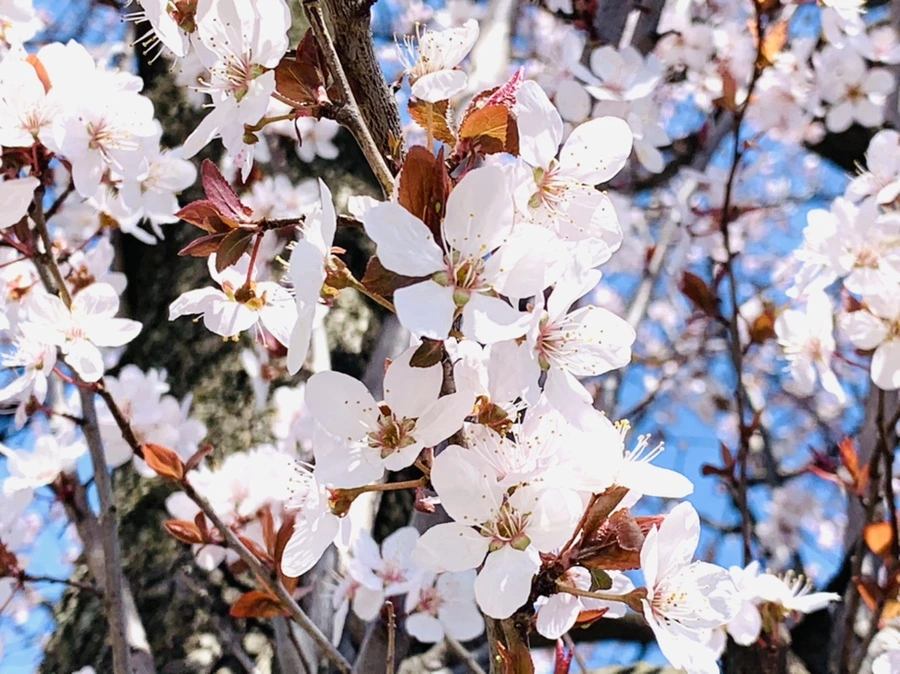 IMG_7997.jpg?type=w966