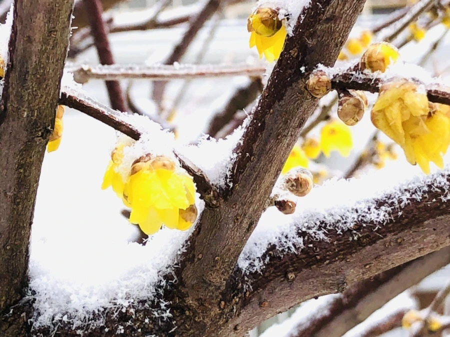 IMG_3522.jpg?type=w966