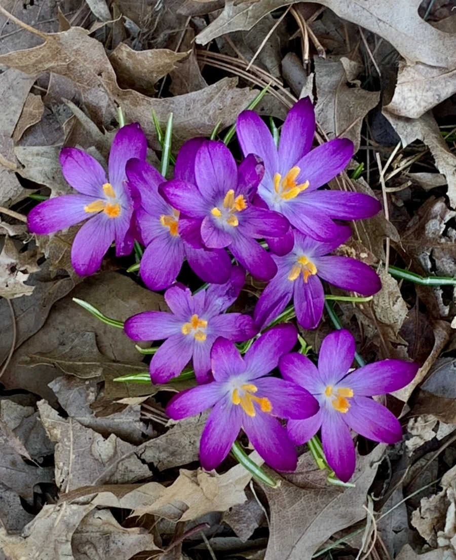 IMG_9734.jpg?type=w966