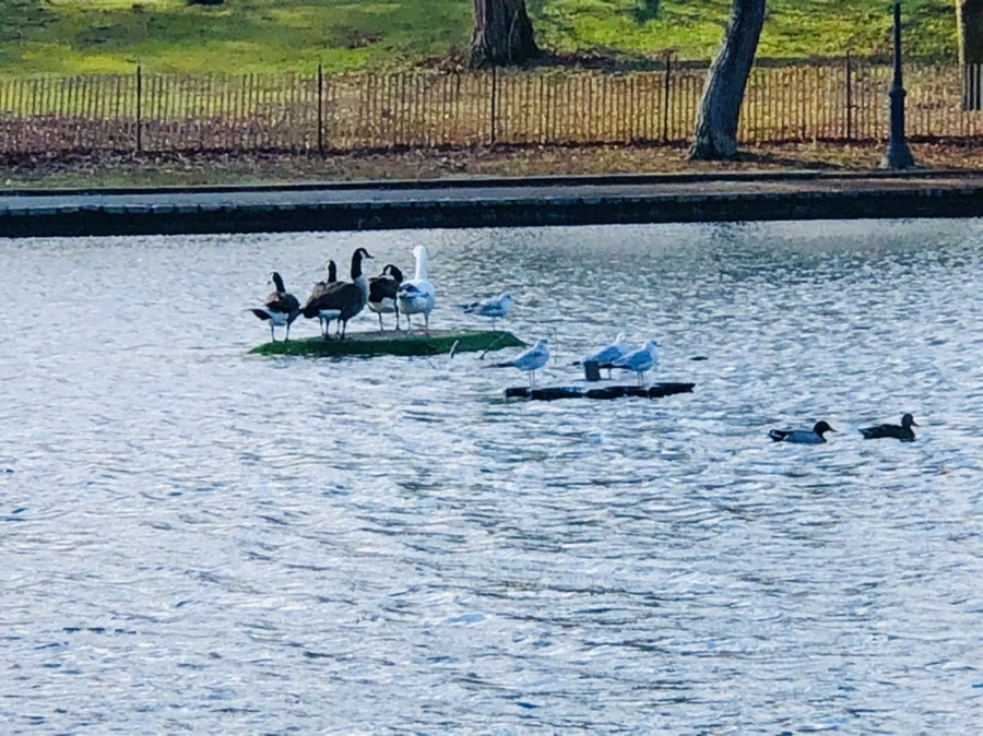 IMG_9210.jpg?type=w966