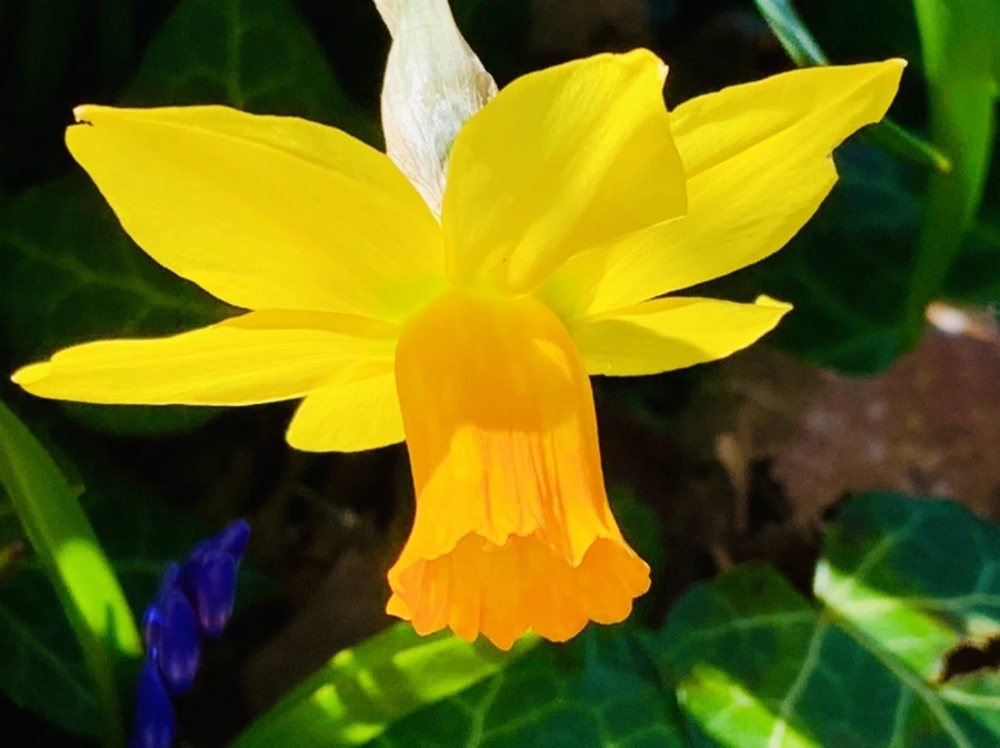 IMG_5734.jpg?type=w966