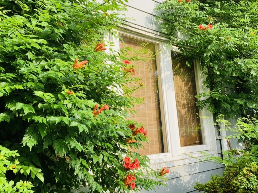 IMG_5720.jpg?type=w966