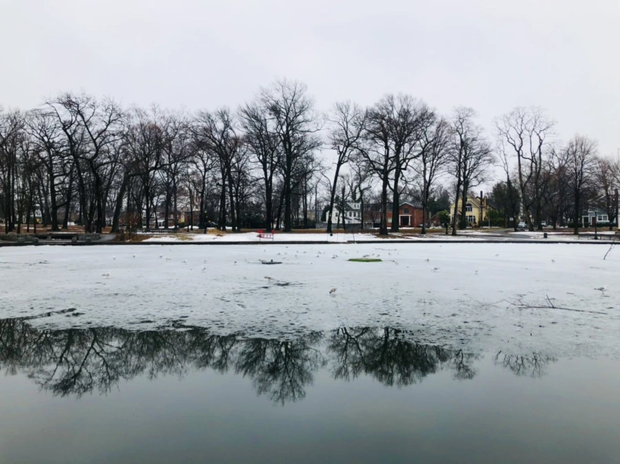 IMG_5517.jpg?type=w966