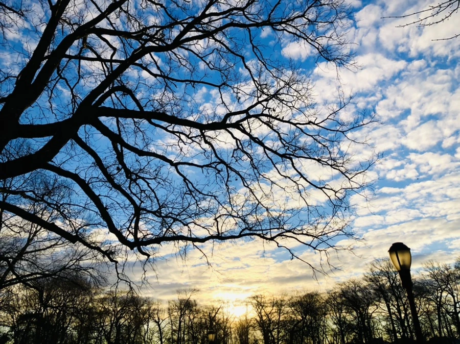 IMG_4888.jpg?type=w966