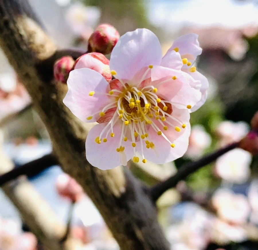 IMG_0973.jpg?type=w966