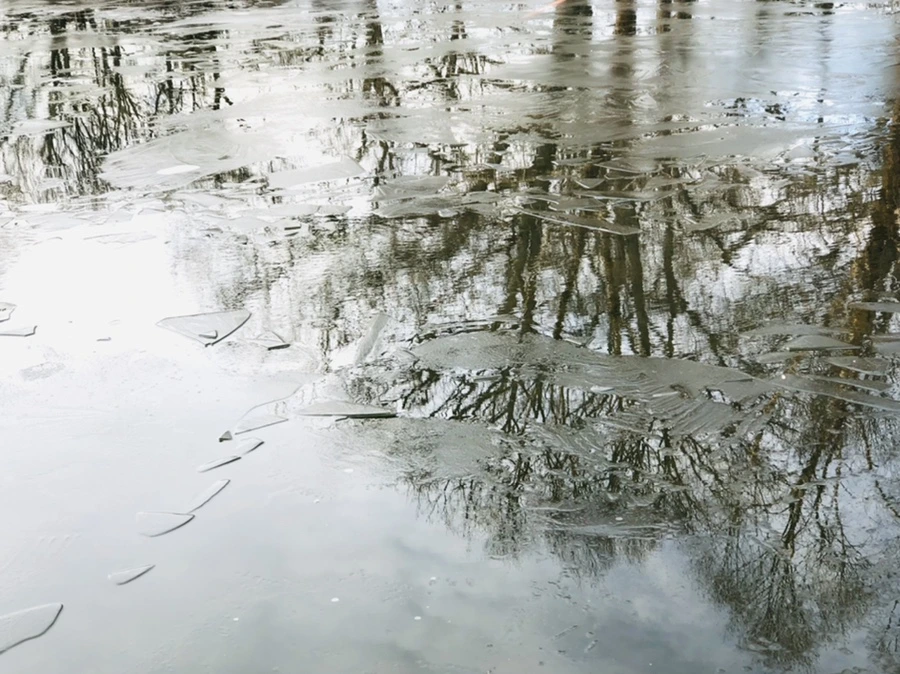 IMG_4782.jpg?type=w966