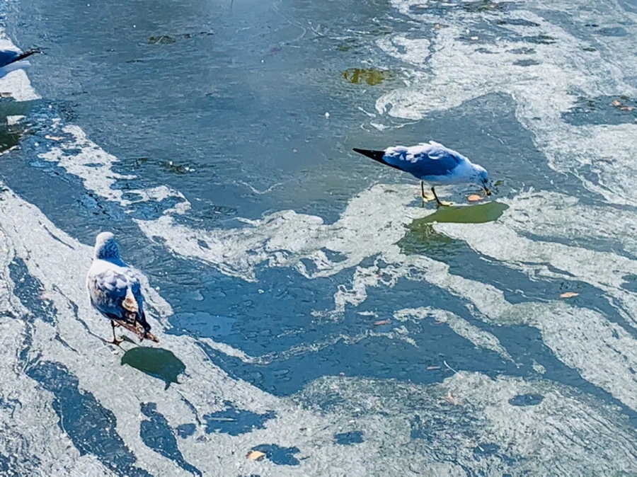 IMG_9040.jpg?type=w966