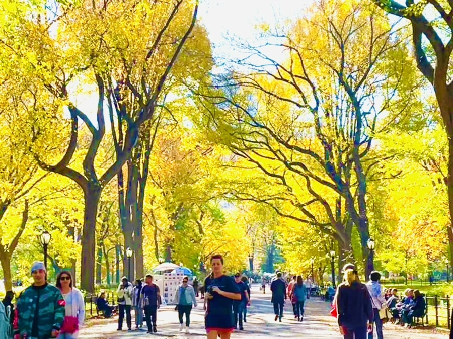 IMG_1573.jpg?type=w966