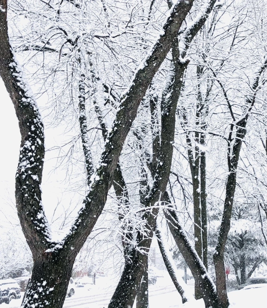 IMG_0939.jpg?type=w966