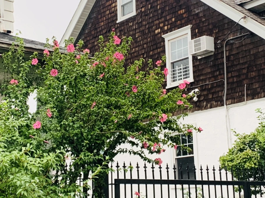 IMG_3651.jpg?type=w966