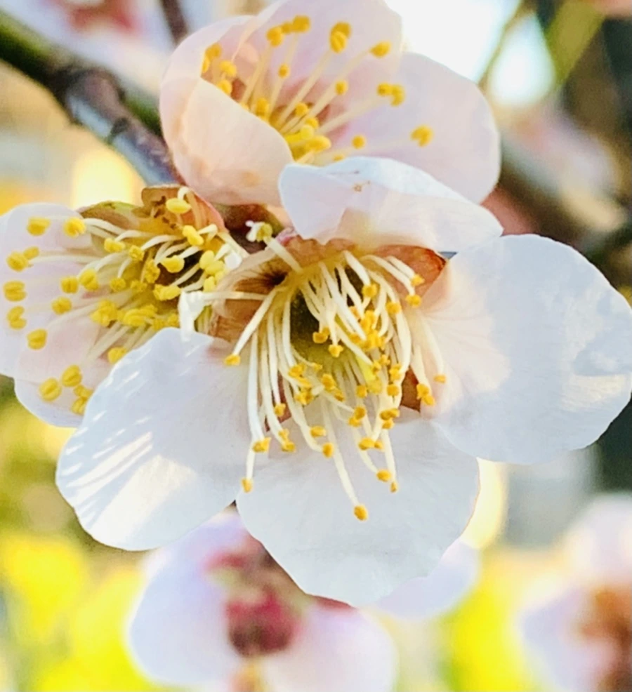 IMG_0761.jpg?type=w966