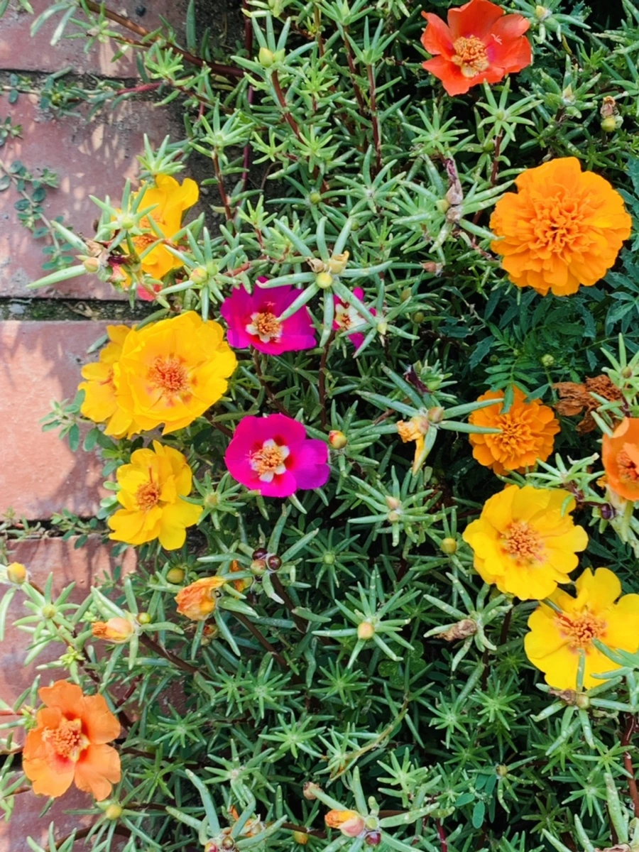 IMG_6656.jpg?type=w966