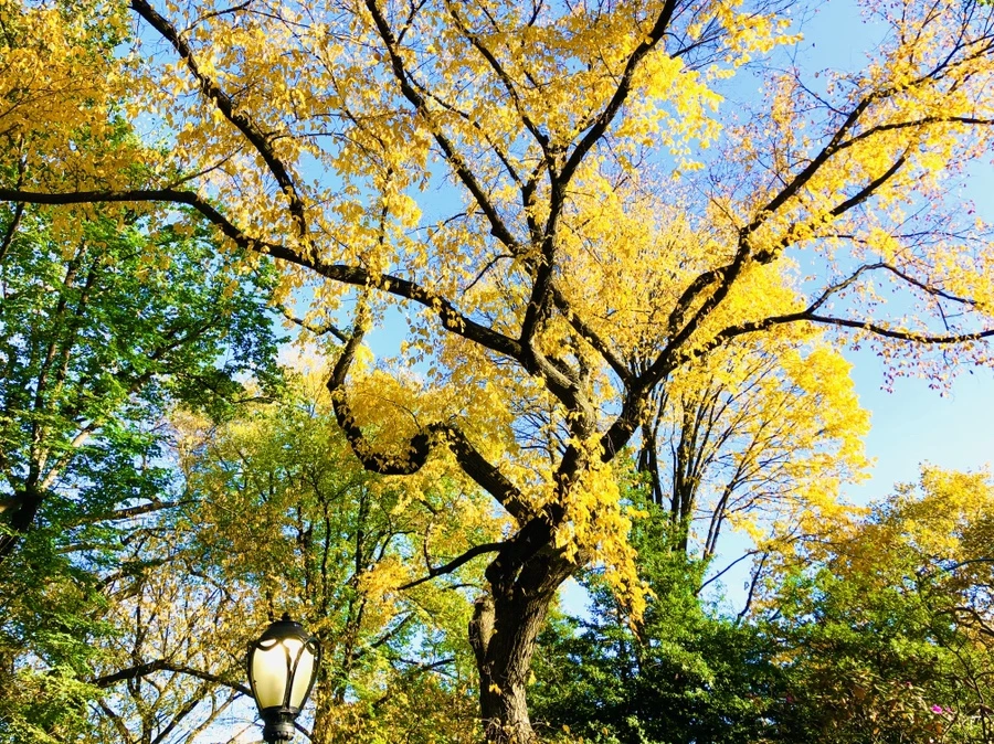 IMG_3456.jpg?type=w966