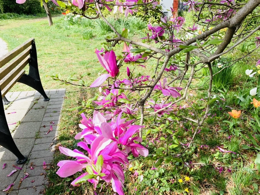 IMG_7014.jpg?type=w966