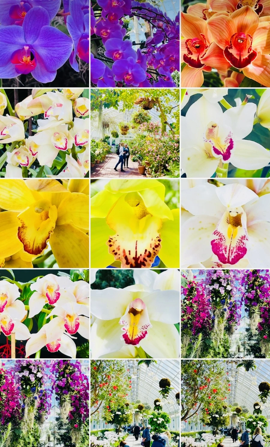 IMG_6753.jpg?type=w966