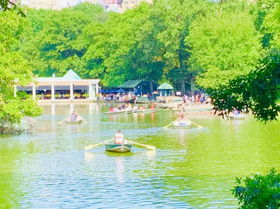 IMG_0651.jpg?type=w966