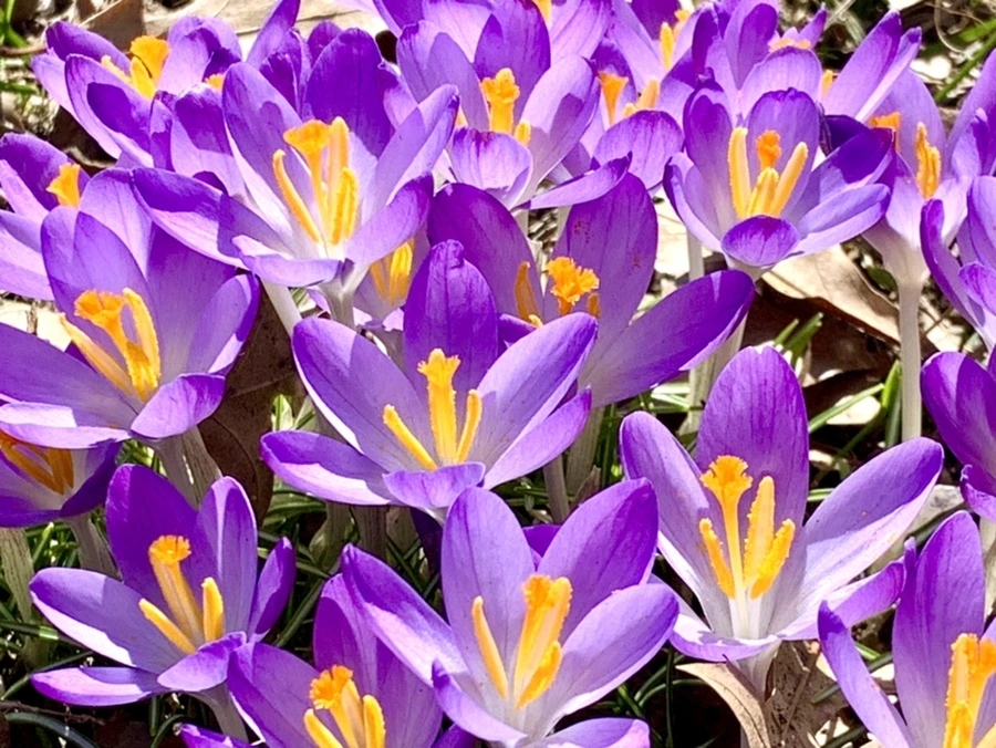 IMG_9795.jpg?type=w966