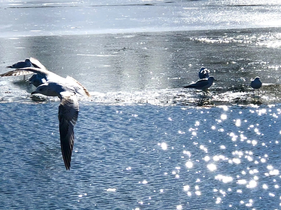 IMG_6834.jpg?type=w966