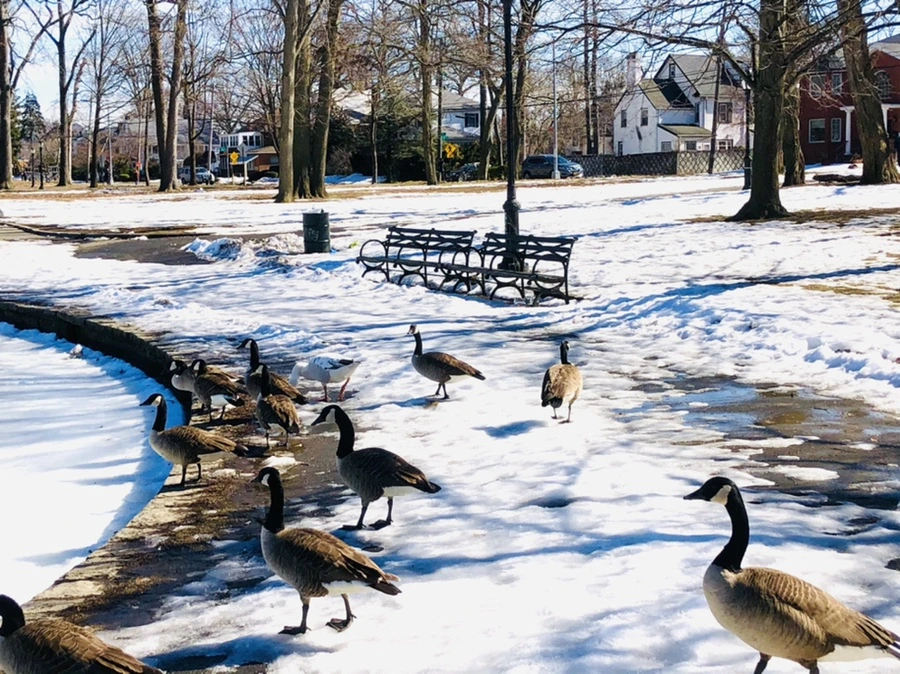 IMG_4902.jpg?type=w966