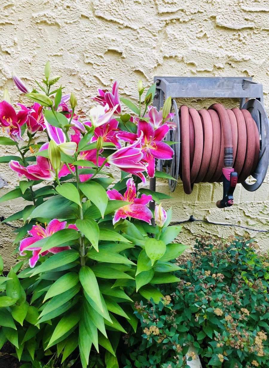 IMG_2445.jpg?type=w966