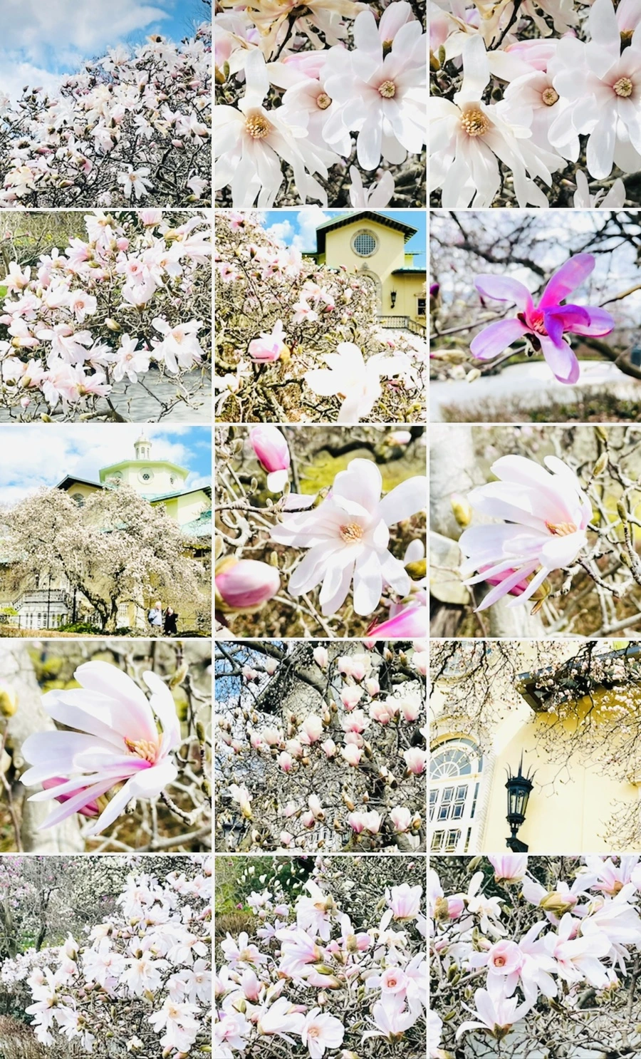 IMG_7297.jpg?type=w966