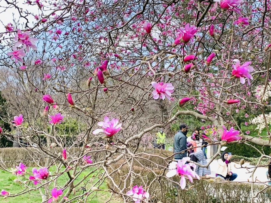 IMG_7179.jpg?type=w966