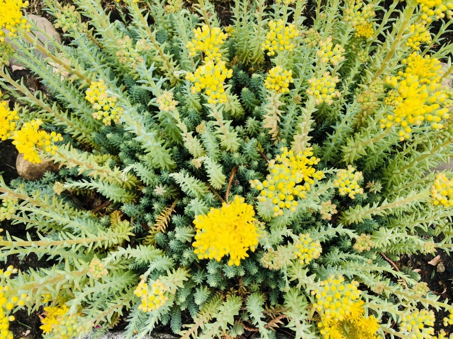 IMG_8795.jpg?type=w966