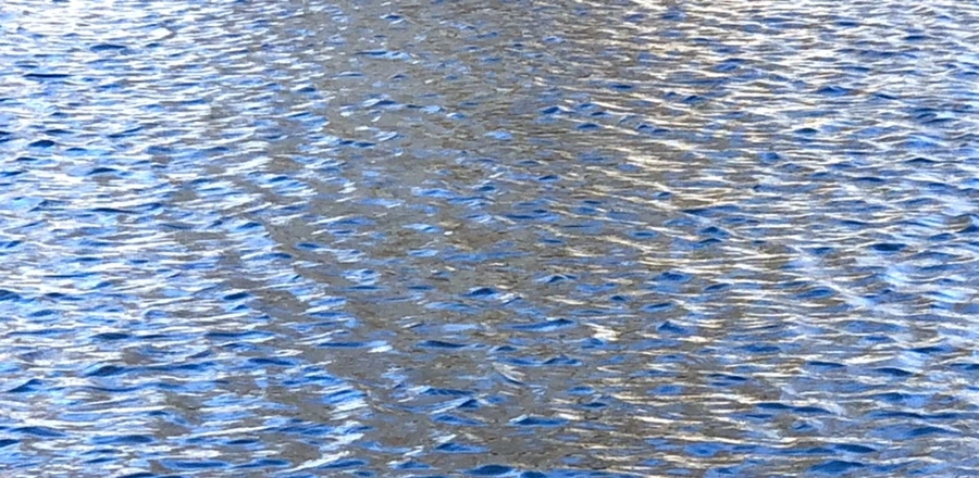 IMG_3895.jpg?type=w966