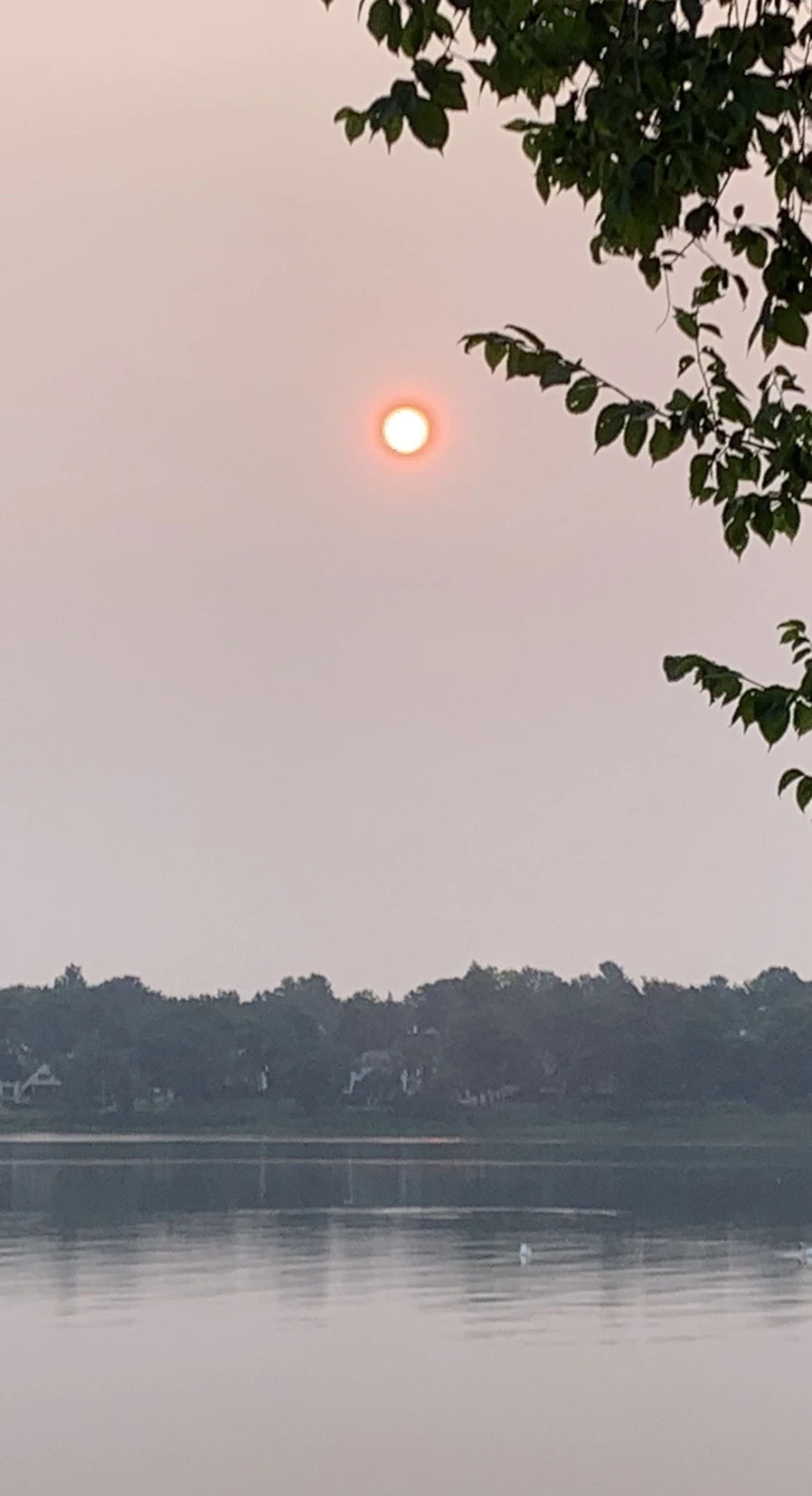 IMG_8093.jpg?type=w966