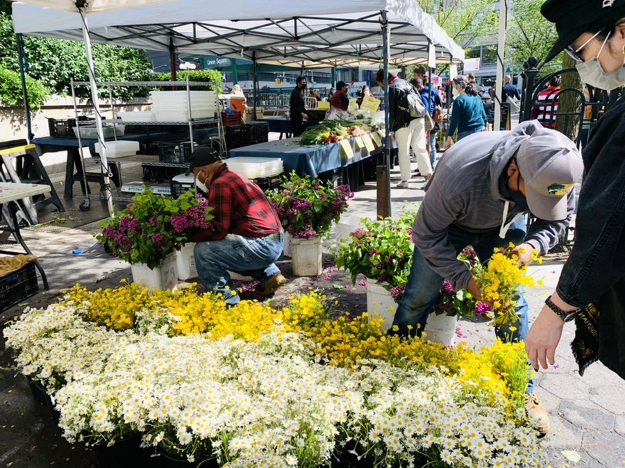 IMG_2100.jpg?type=w966