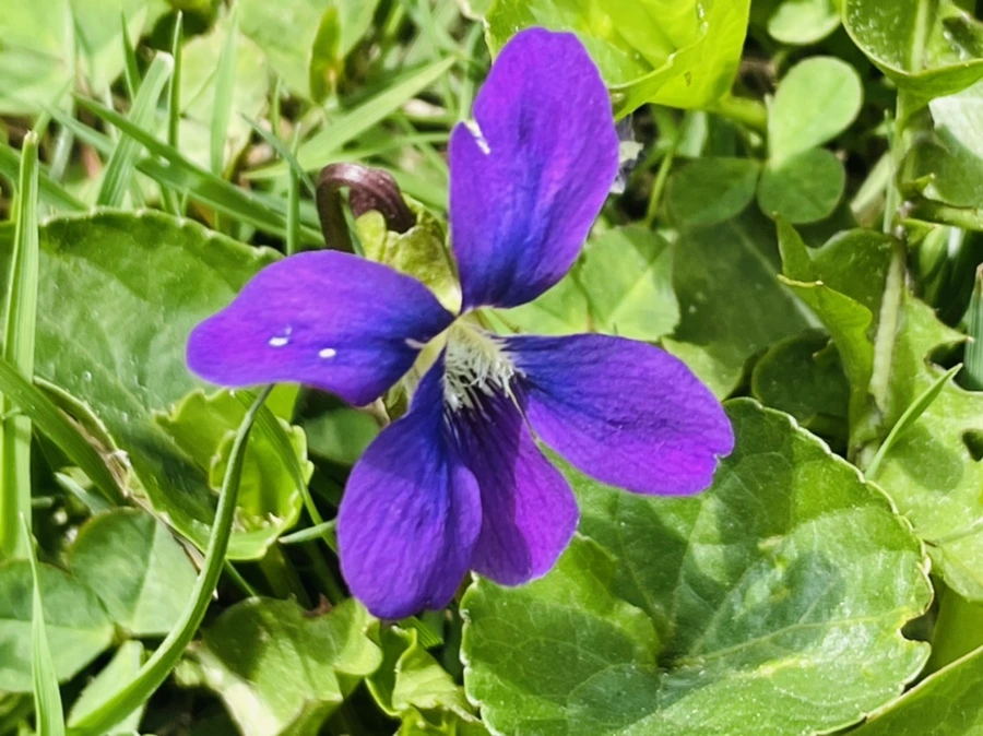 IMG_2322.jpg?type=w966