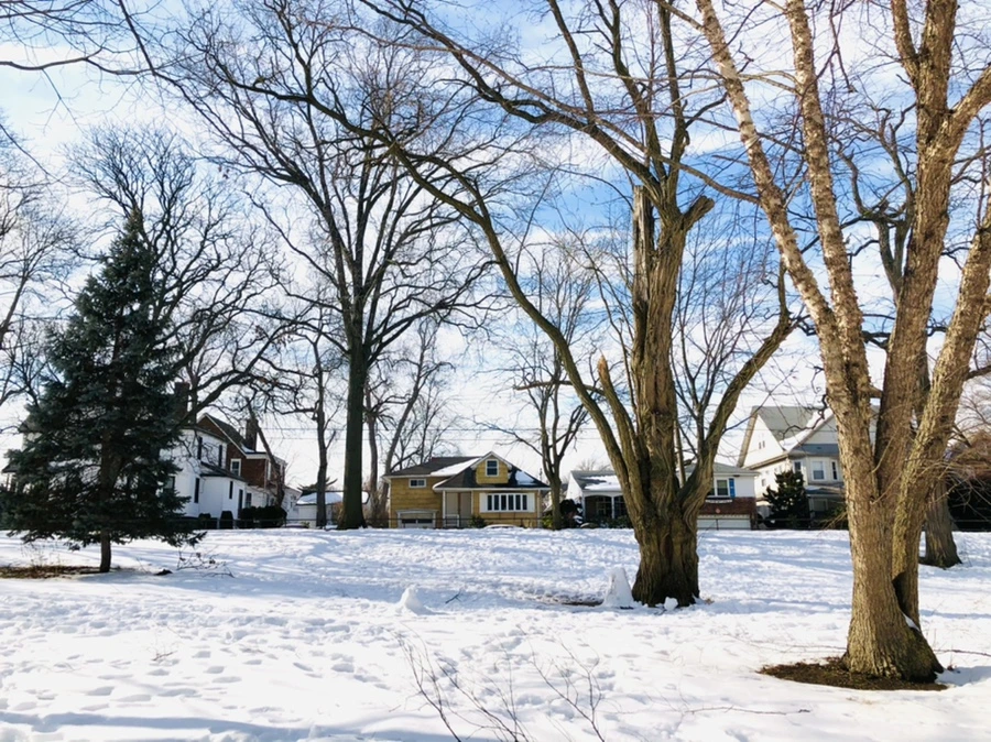 IMG_0081.jpg?type=w966