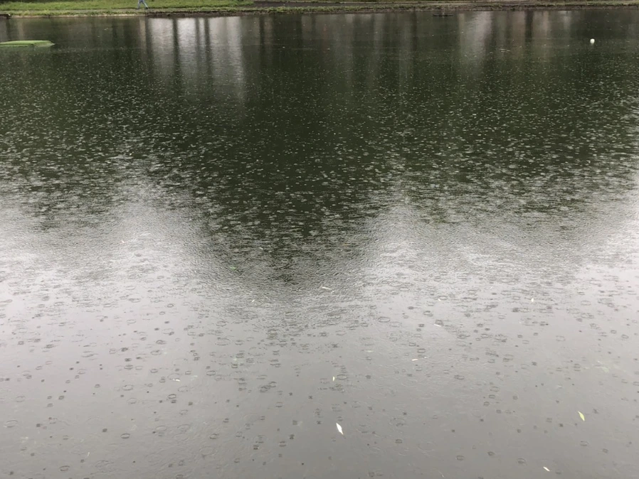 IMG_3264.jpg?type=w966