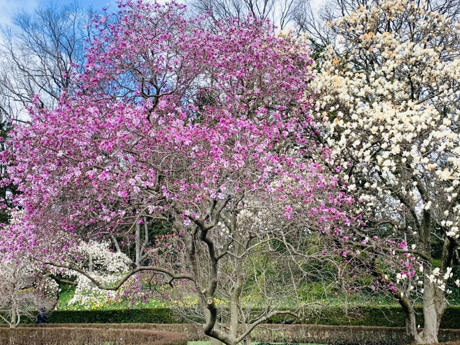 IMG_6516.jpg?type=w966