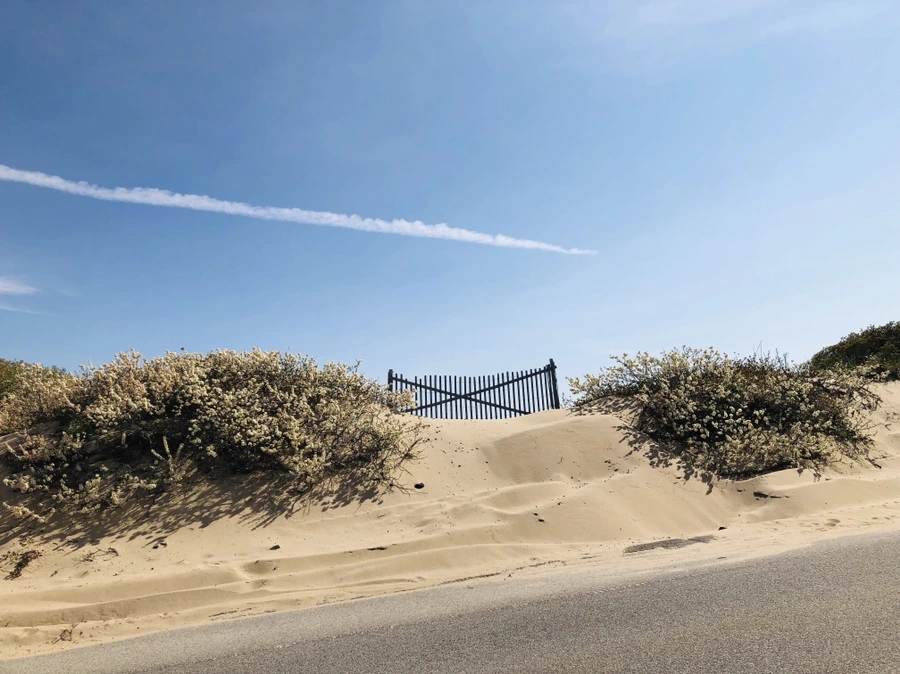 IMG_5113.jpg?type=w966