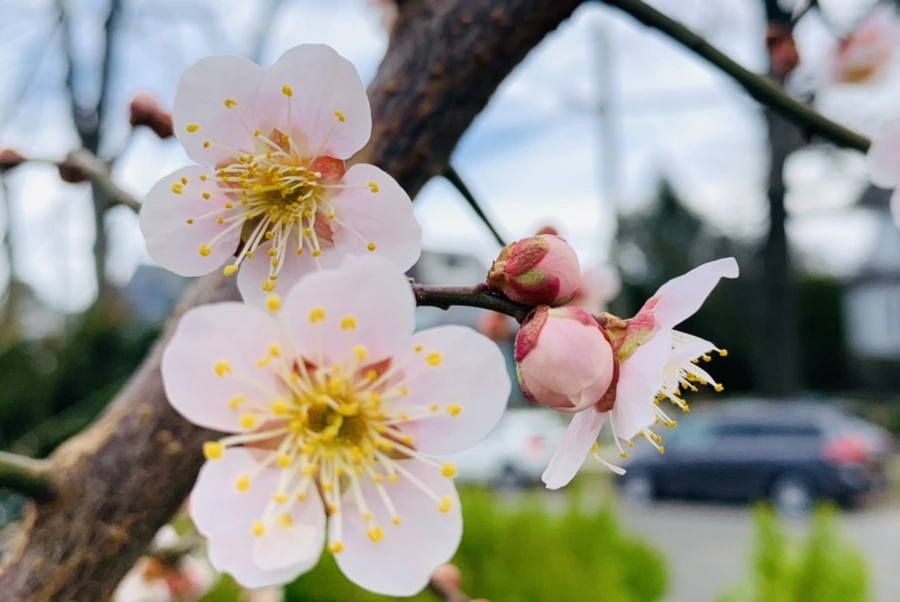 IMG_0504.jpg?type=w966