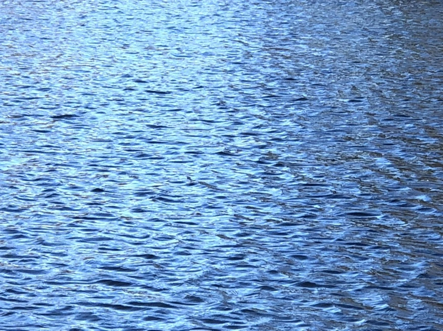 IMG_3840.jpg?type=w966